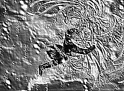Skamielina
