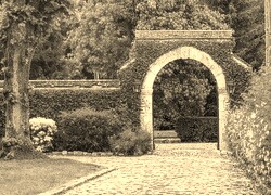 Sepia