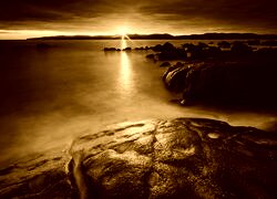 Sepia