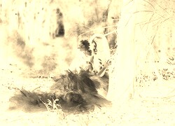 Sepia + Negatyw