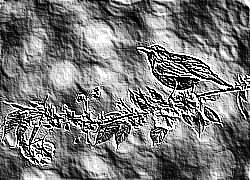 Skamielina