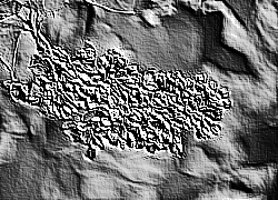 Skamielina