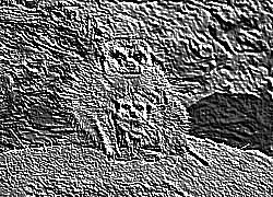 Skamielina