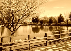 Sepia
