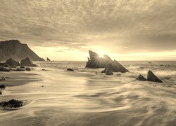 Szary + Sepia