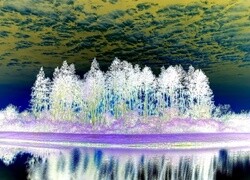 Negatyw