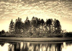 Sepia