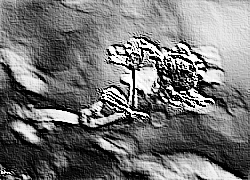 Skamielina