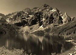 Szary + Sepia