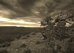Szary + Sepia