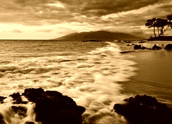 Sepia
