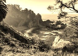 Szary + Sepia