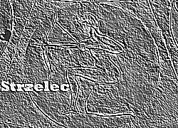 Skamielina