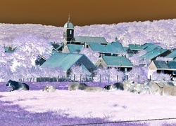 Negatyw