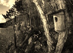 Szary + Sepia