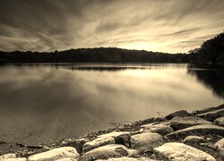 Szary + Sepia