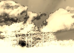 Sepia + Negatyw