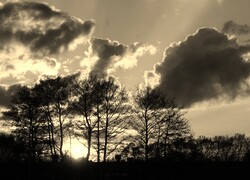Szary + Sepia
