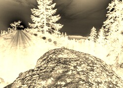 Sepia + Negatyw