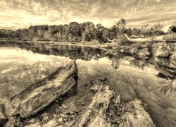 Szary + Sepia