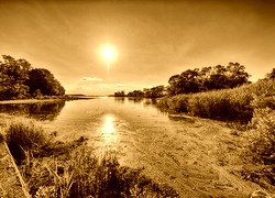 Sepia