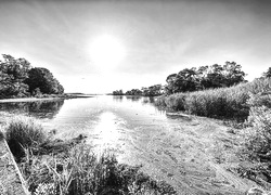 Szary + Sepia