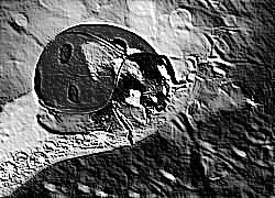 Skamielina