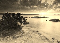 Sepia