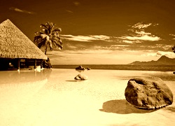 Sepia