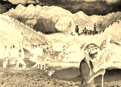 Sepia + Negatyw