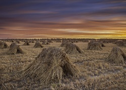 Oryginalny obrazek