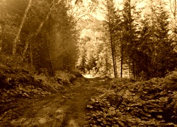 Sepia