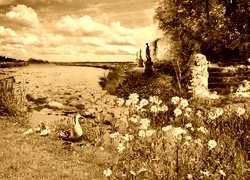 Sepia