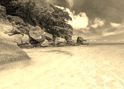 Sepia