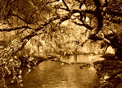 Sepia