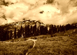 Sepia