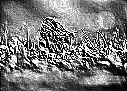 Skamielina