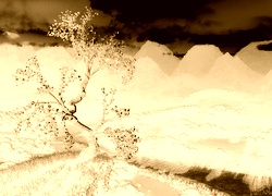 Sepia + Negatyw