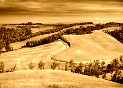 Sepia