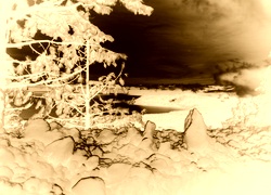 Sepia + Negatyw