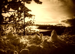 Sepia
