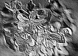 Skamielina