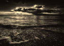 Szary + Sepia