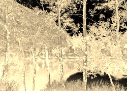 Sepia + Negatyw