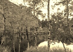 Sepia