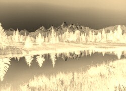 Sepia + Negatyw