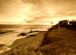 Sepia