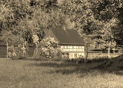 Szary + Sepia
