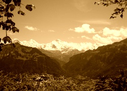 Sepia