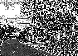 Skamielina